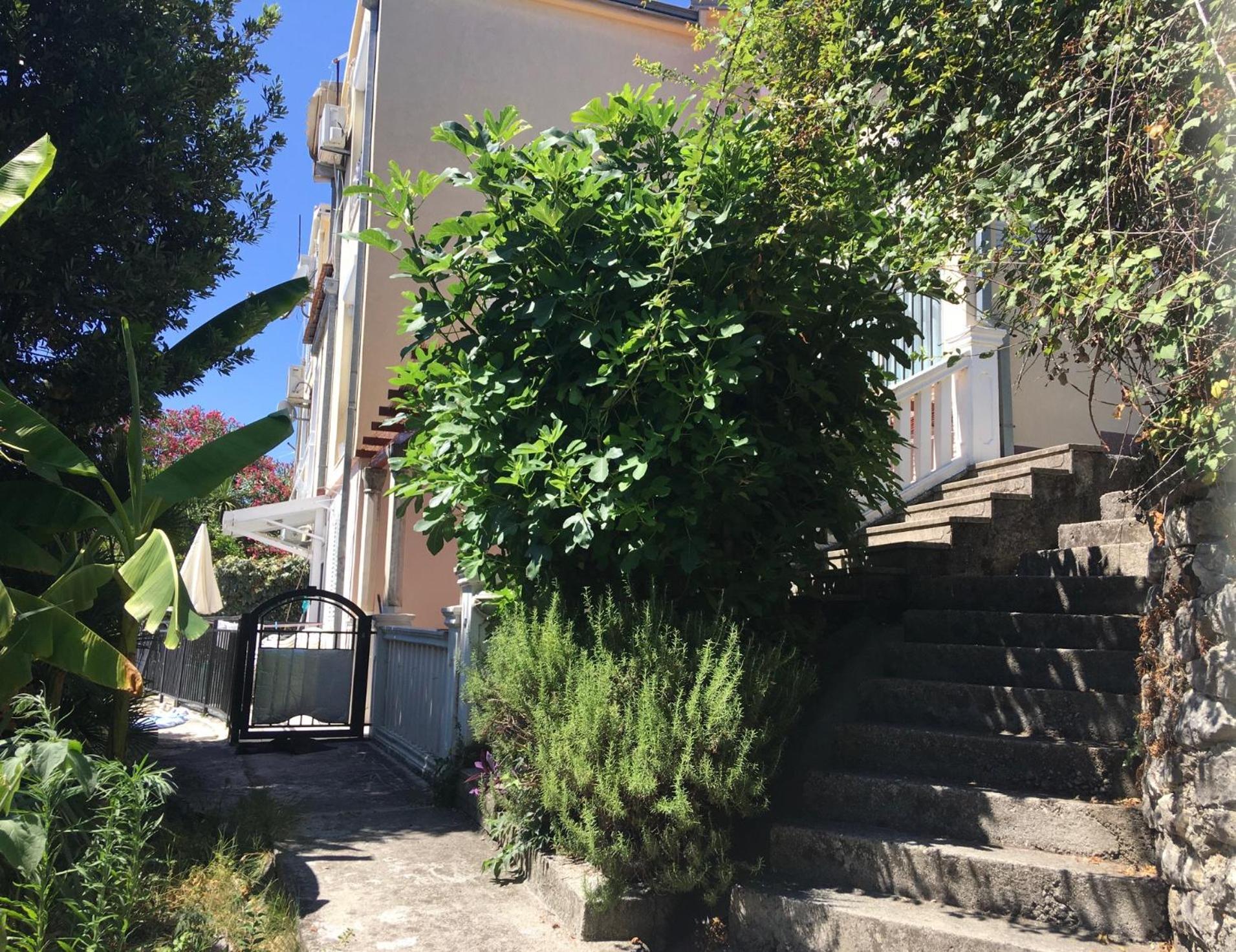 Apartment Simo Herceg Novi Exterior foto
